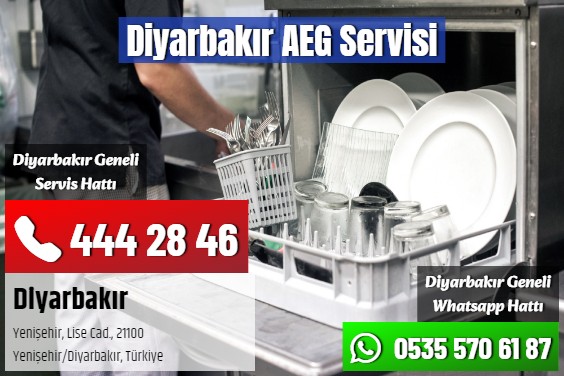 Diyarbakır AEG Servisi