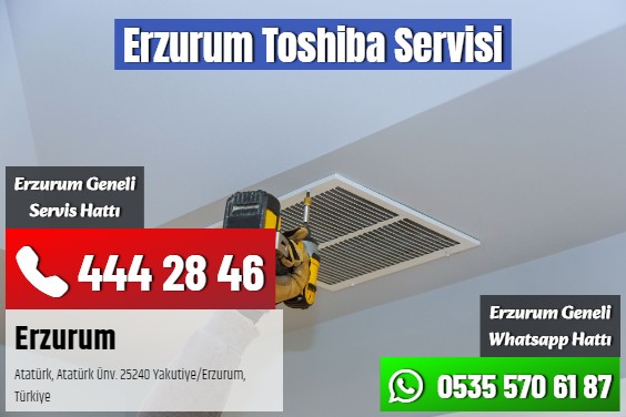 Erzurum Toshiba Servisi