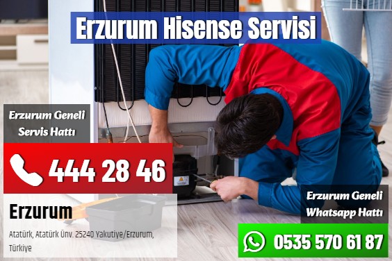 Erzurum Hisense Servisi