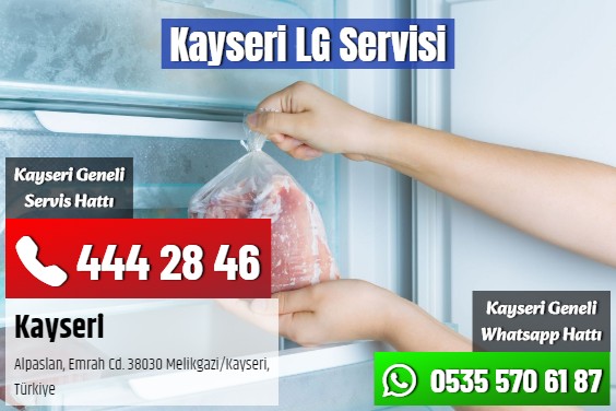 Kayseri LG Servisi