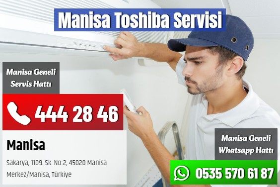 Manisa Toshiba Servisi