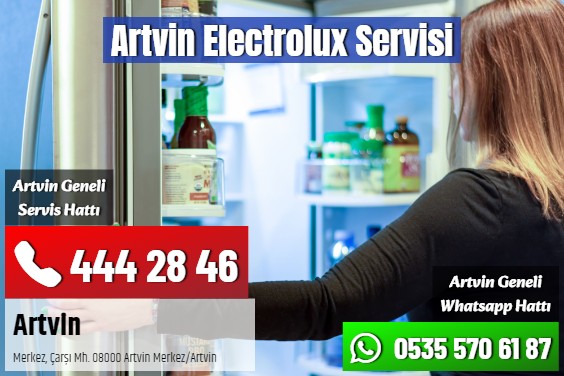 Artvin Electrolux Servisi
