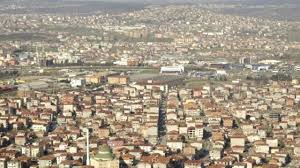 Petek Temizleme Sancaktepe