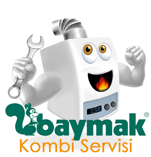 baymak servisi