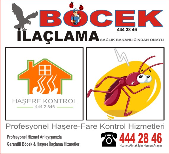 Küçükçekmece böcek ilaçlama servisi